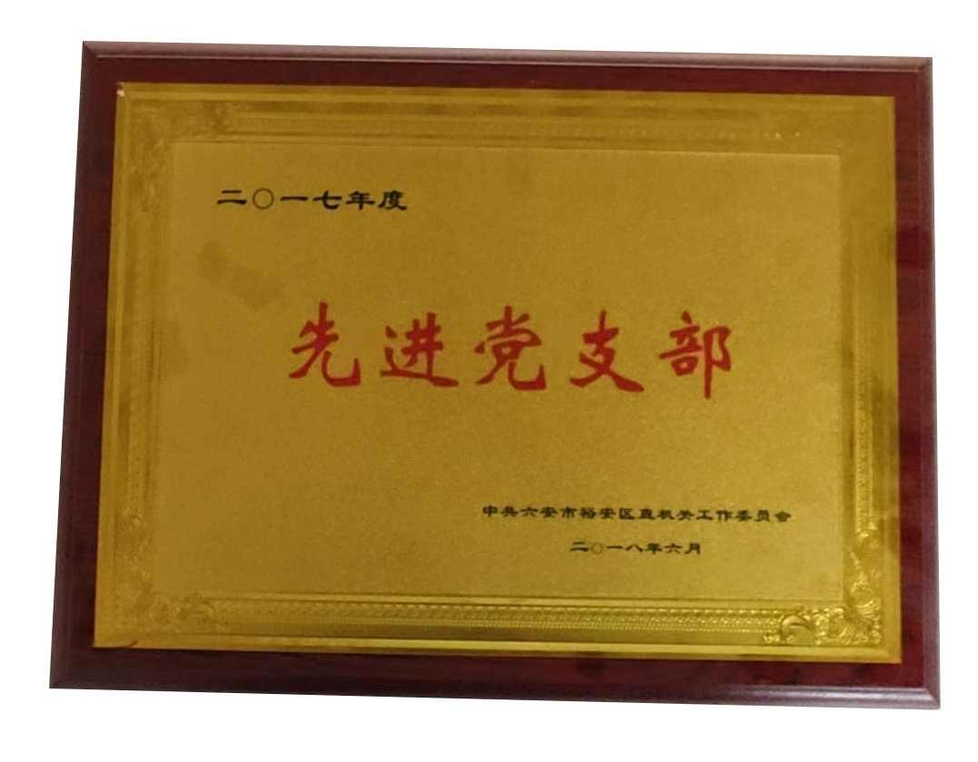 先进党支部